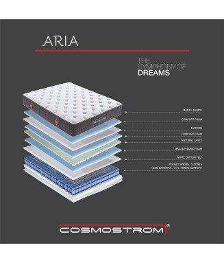 Aria